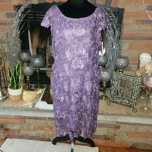 Emma Street Lace Dress NWT